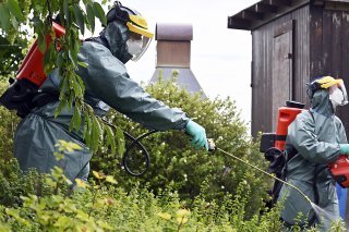 Des dizaines de scarabées japonais ont été découverts à Kloten (ZH). De l'insecticide a été aspergé dans les jardins pour éradiquer cette population de nuisibles.